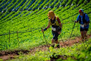 BIB: 
                            <button type="button" onclick="openModal(19162139)" class="btn btn-primary btn-sm float-right btn-popup" data-toggle="modal" data-target=".modal-high-quality">
                        <i class="fas fa-shopping-cart"></i> Add to Cart
                    </button>
                                            <button type="button" onclick="isThisMe(19162139, true)" class="btn btn-success btn-sm float-right btn-popup btn-isme hidden" data-toggle="tooltip" data-placement="bottom" title="นี่คือรูปของคุณใช่ไหม คลิกที่นี่เพื่อเอาเข้าอัลบั้ม">
                        <i class="fas fa-plus"></i> Add to album
                    </button>
                    <button type="button" onclick="isThisMe(19162139, false)" class="btn btn-warning btn-sm float-right btn-popup btn-isnotme hidden">
                        <i class="fas fa-ban"></i> Remove from album
                    </button>